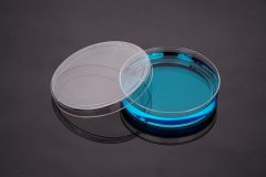 带刻度无菌培养皿 Φ100mm——型号：GS-100M