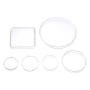 三格分隔培养皿 Φ100mm——型号：TP-100-3