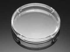 透气型细胞培养皿 Φ60mm——型号：CP-60A